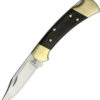 BUCK 112 112BRS FOLDING RANGER LOCKBACK FOLDING KNIFE NEW WITH LEATHER SHEATH. 2 BUCK 112 112BRS FOLDING RANGER LOCKBACK FOLDING KNIFE NEW WITH LEATHER SHEATH. -SR KNIVE SANDSWORDS Sales 12 9df22203 9b7f 449d b851 681bf88e2724