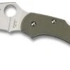 SPYDERCO C28GPFG DRAGONFLY FOLIAGE GREEN G10 HANDLE FOLDING KNIFE