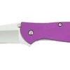KERSHAW 1660PUR LEEK PURPLE PLAIN EDGE ASSISTED FOLDING KNIFE. -SR KNIVE SANDSWORDS Sales T2eC16F EE9s2ufEGlBROy9YZ1ug 60 1
